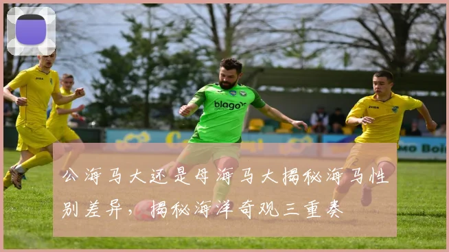 公海马大还是母海马大揭秘海马性别差异，揭秘海洋奇观三重奏