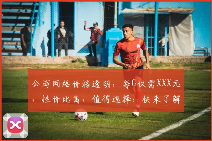 公海网络价格透明，每G仅需XXX元，性价比高，值得选择，快来了解