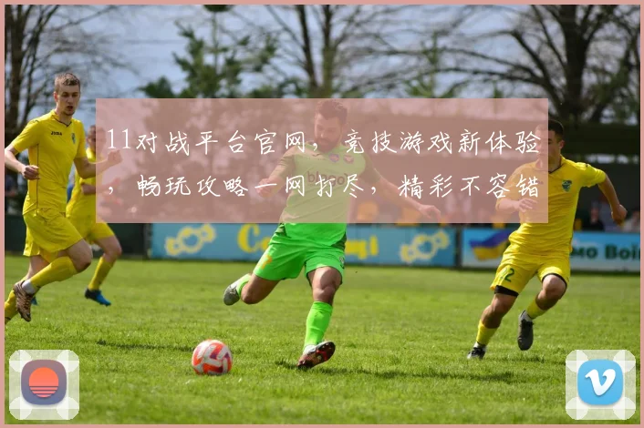 11对战平台官网，竞技游戏新体验，畅玩攻略一网打尽，精彩不容错过，畅享游戏乐趣