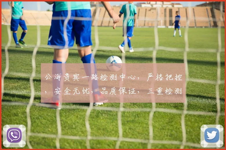 公海贵宾一路检测中心，严格把控，安全无忧，品质保证，三重检测，服务卓越，值得信赖