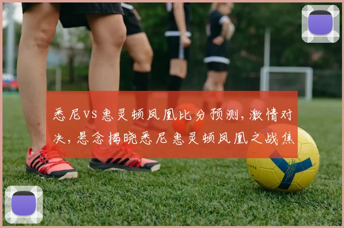 悉尼vs惠灵顿凤凰比分预测,激情对决,悬念揭晓悉尼惠灵顿凤凰之战焦点前瞻