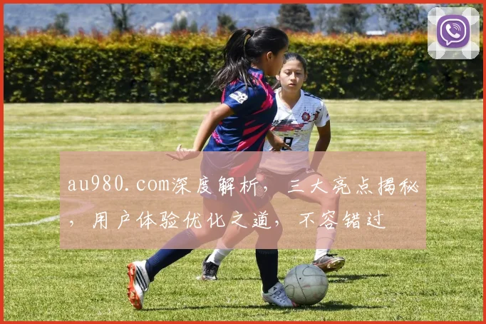 au980.com深度解析，三大亮点揭秘，用户体验优化之道，不容错过