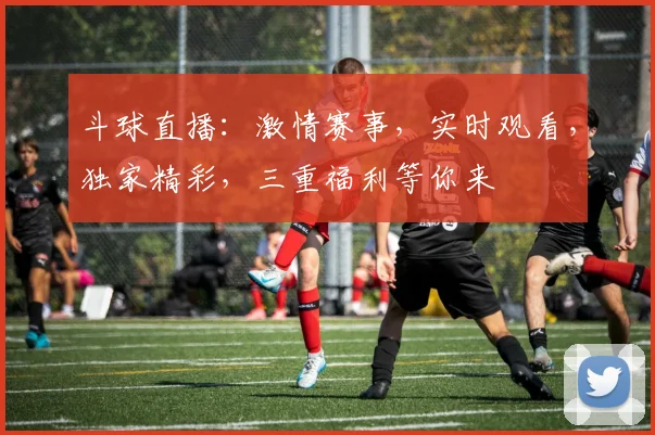 斗球直播：激情赛事，实时观看，独家精彩，三重福利等你来