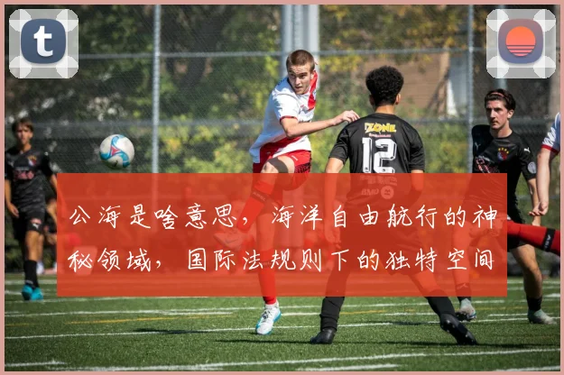 公海是啥意思，海洋自由航行的神秘领域，国际法规则下的独特空间，三大看点揭示